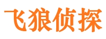 丰顺市调查公司